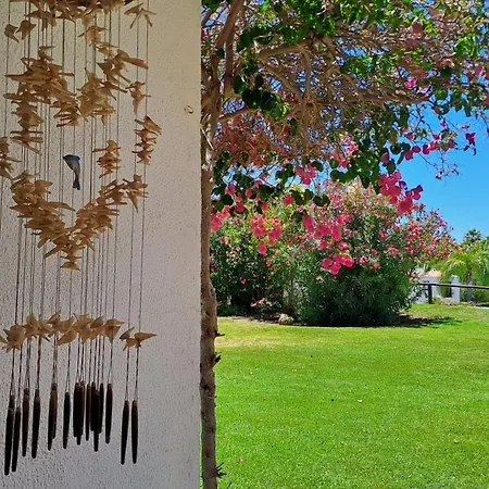 Appartement Sao Rafael 55 *